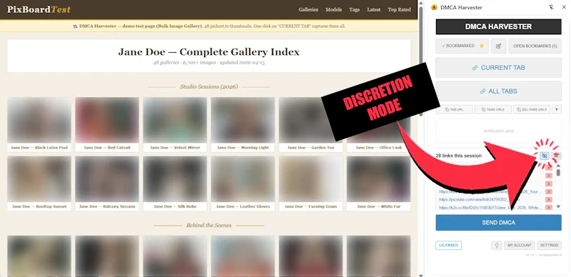 DMCA Harvester - Automated Takedown Tool screenshot 5