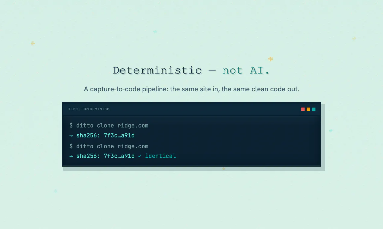 ditto.site gallery image
