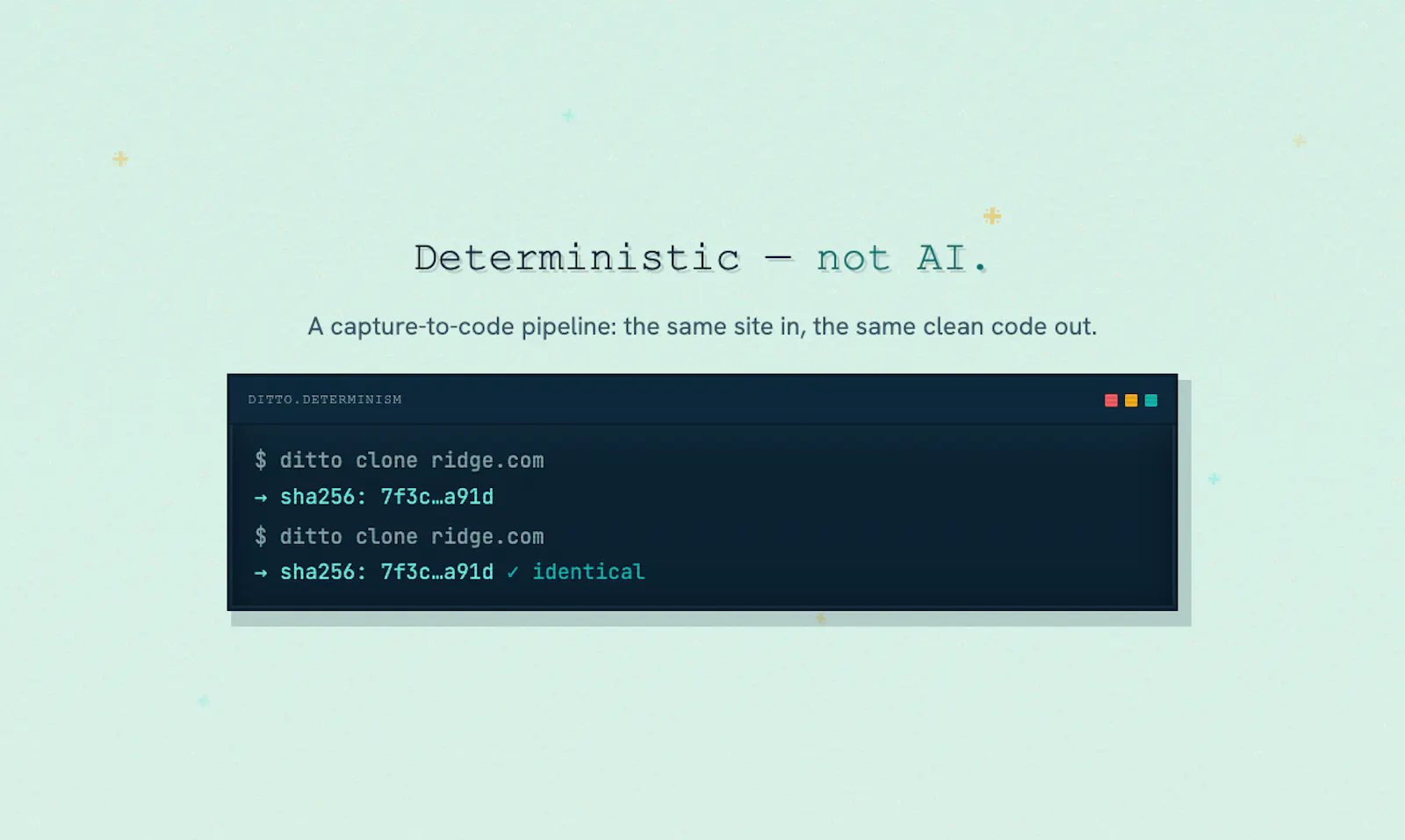 ditto.site screenshot 5