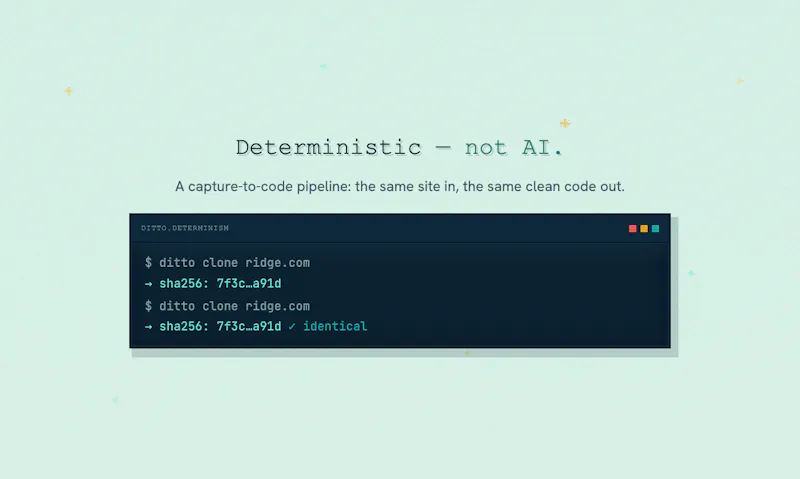 ditto.site screenshot 5