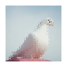 Magic Effect on Photos gallery image