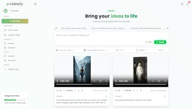 Videnly gallery image