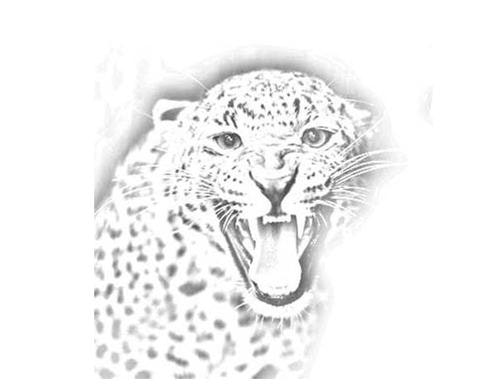 Mendon Cottage Books gallery image