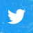 Twitter Algorithm Rank Validator