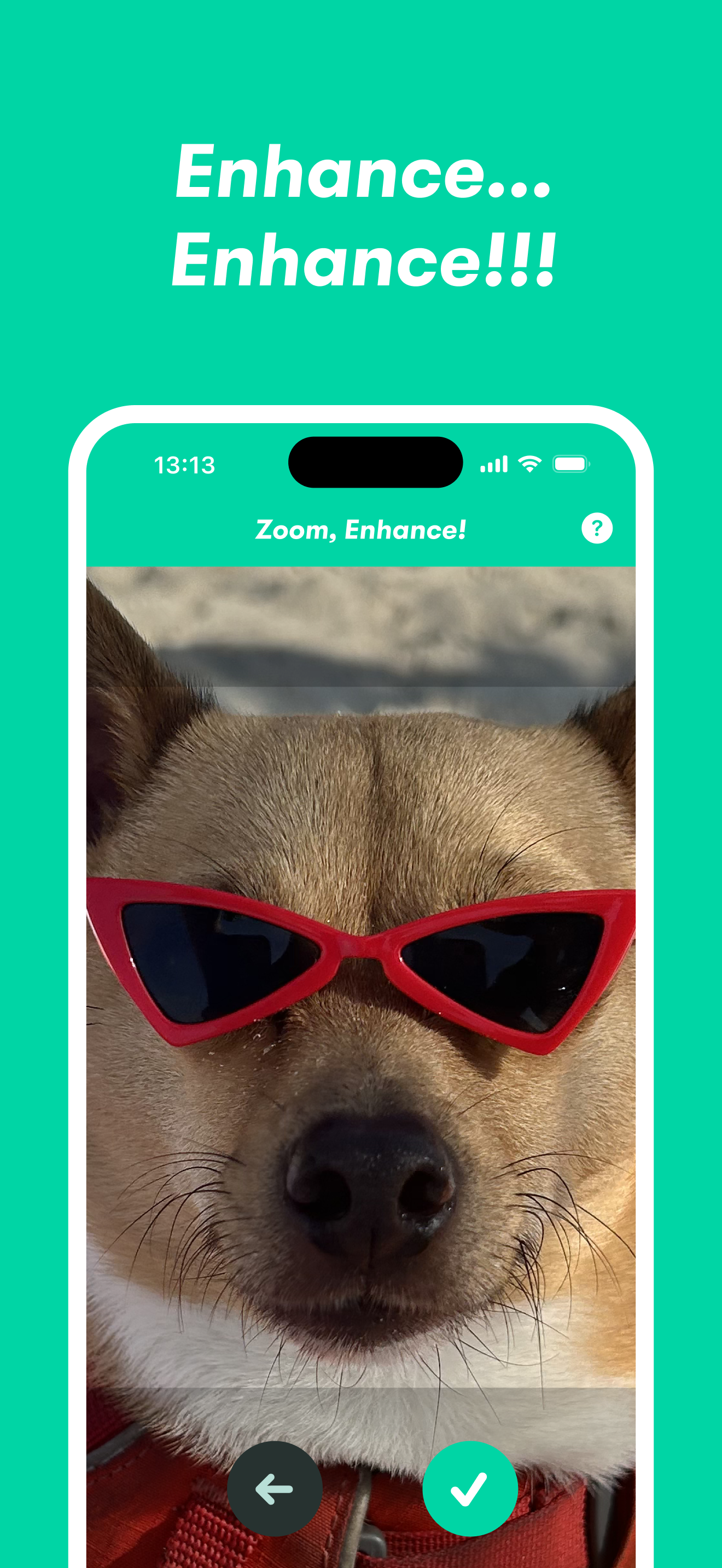Zoom, geliştir!(V2) media 4