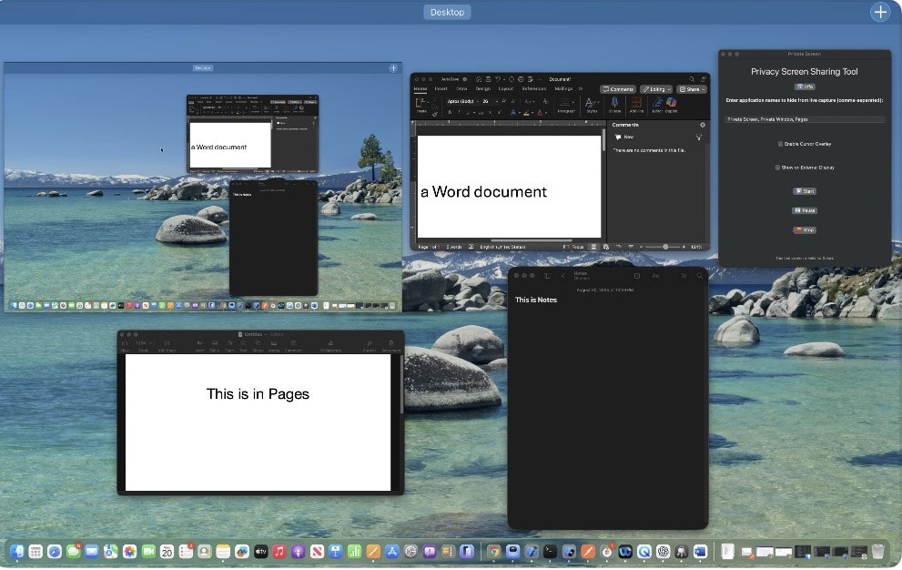 Media Privacy Screen Sharing Tool - Control what others see in Zoom, Teams & Meet 1