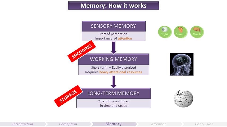 The Gamer’s Brain gallery image