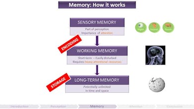 The Gamer’s Brain gallery image