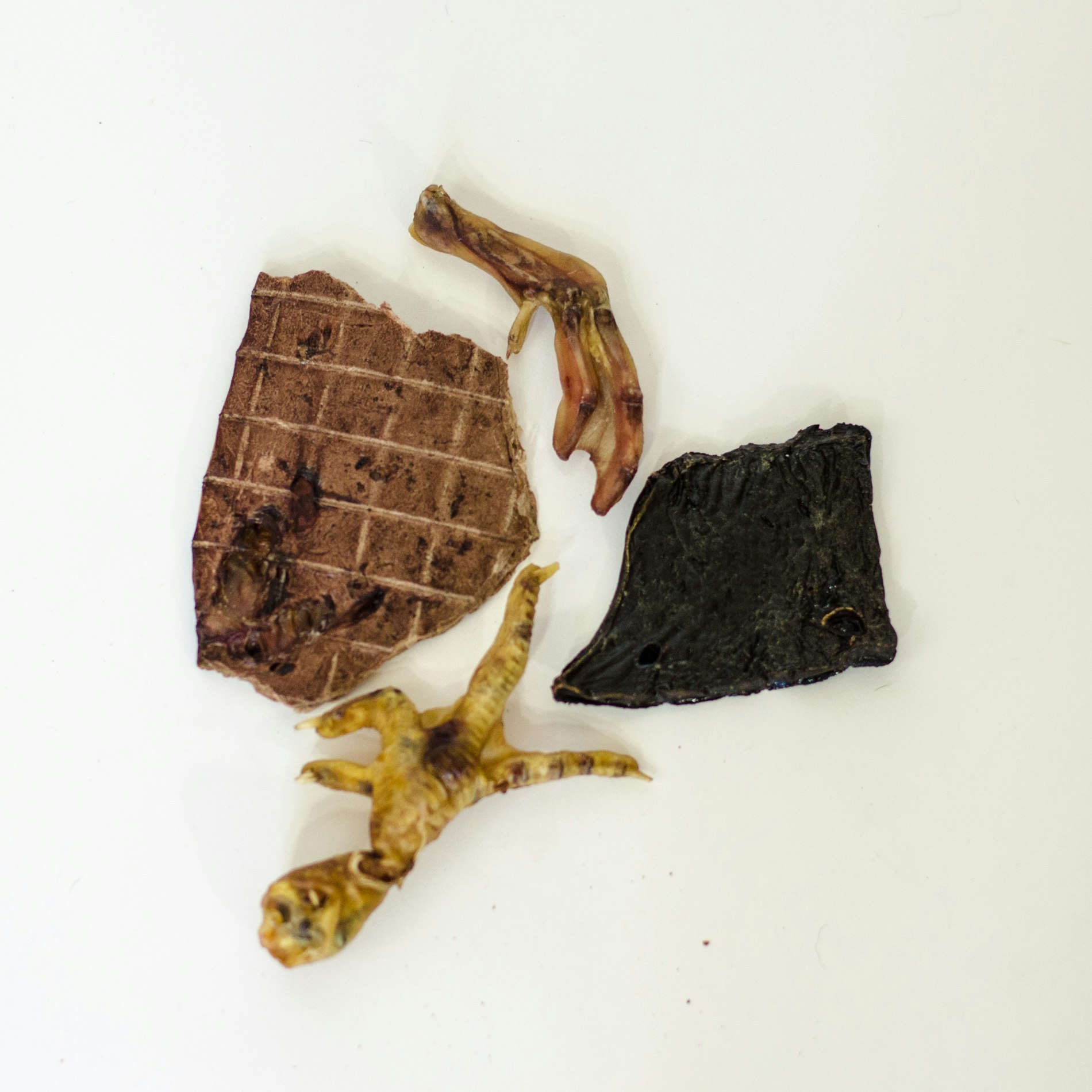 Treats Happen gallery image