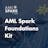 AML Spark by RayCor Consulting