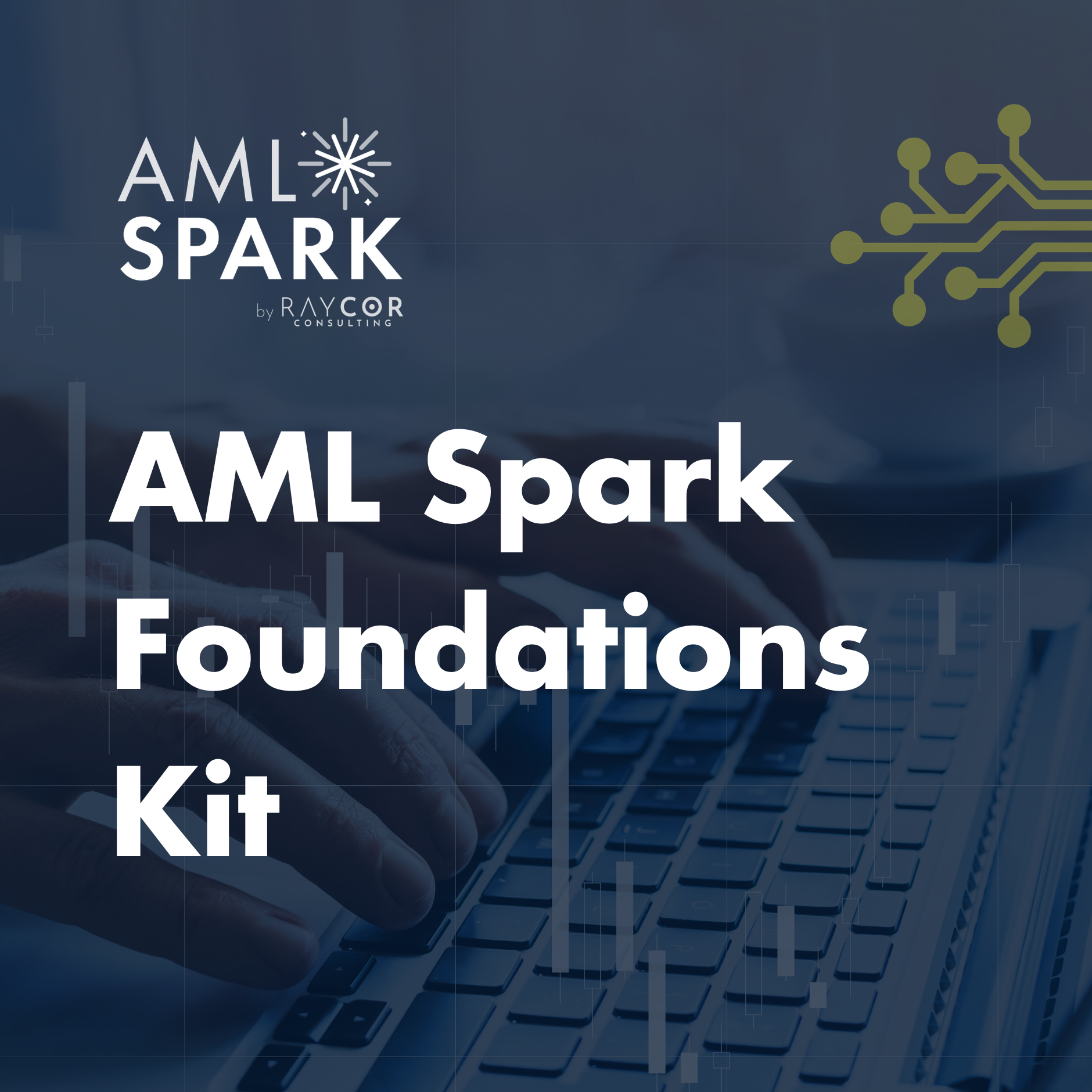 AML Spark oleh Raycor Consulting