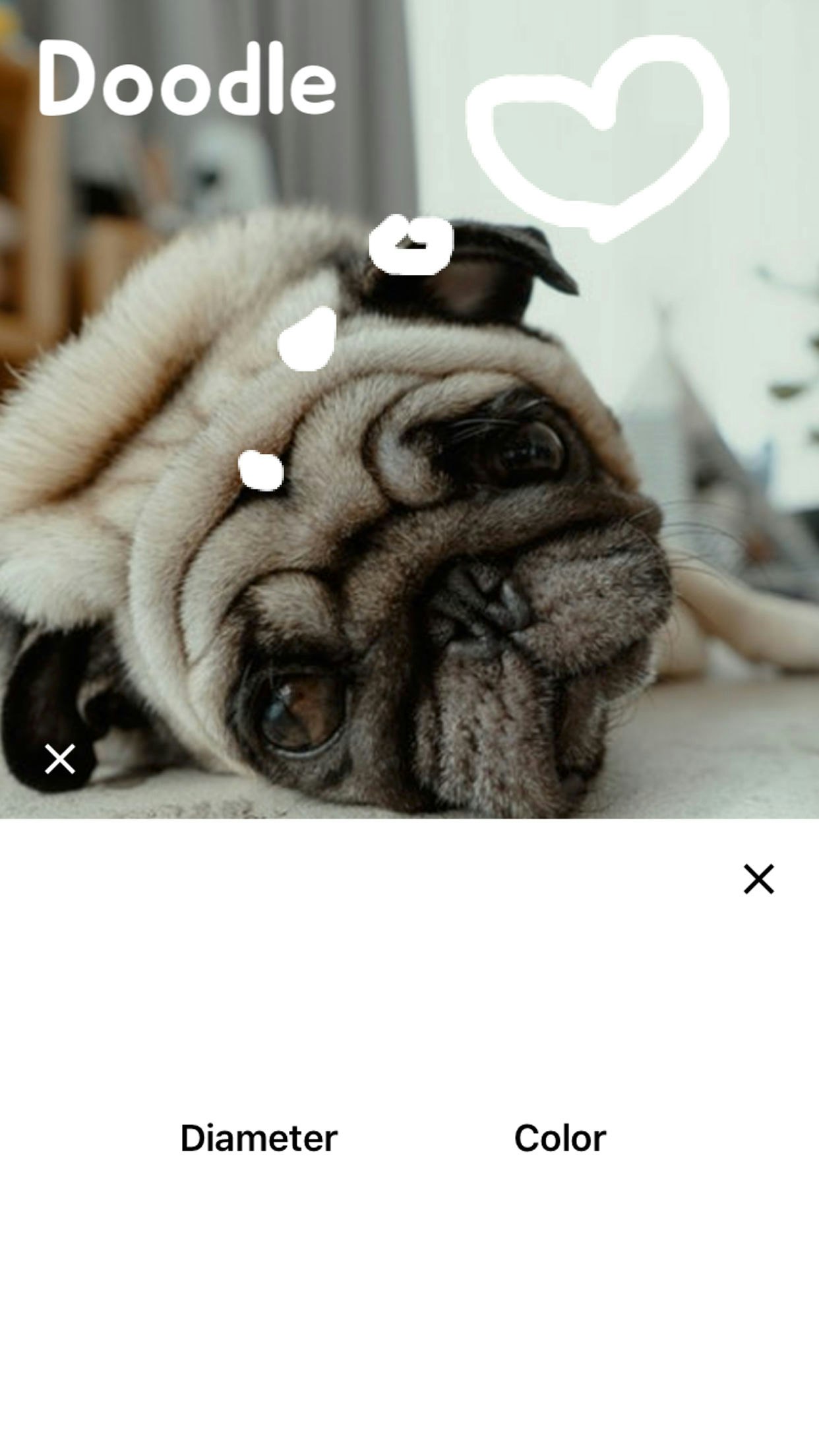 Thumbnail for Instagram Video gallery image