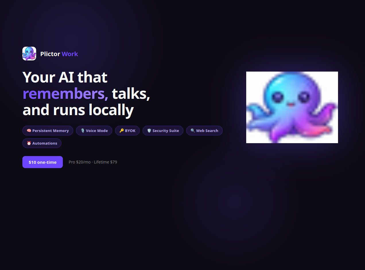 Plictor work gallery image