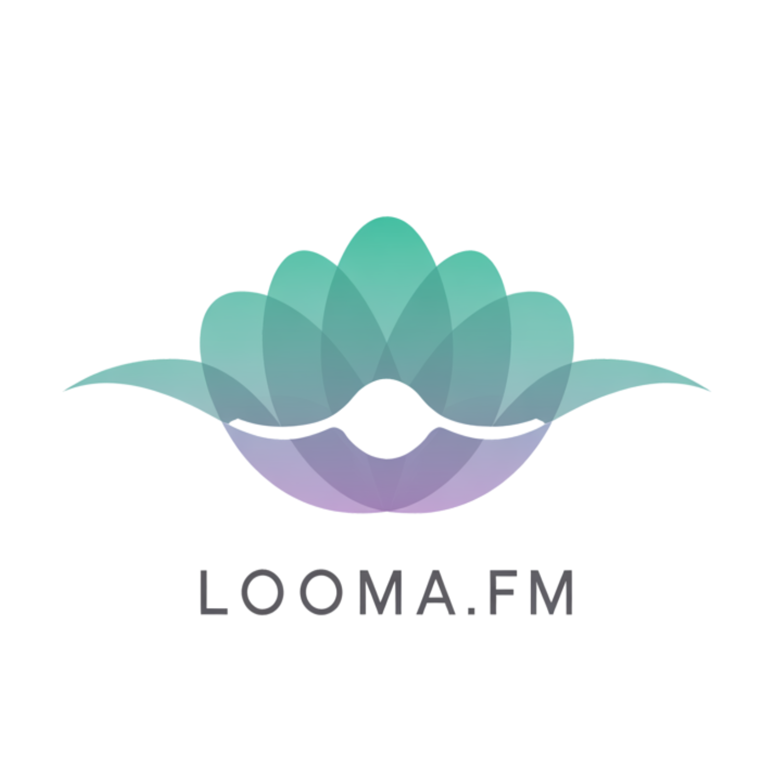 Looma.Fm gallery image