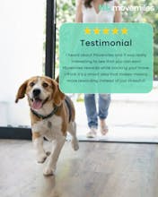 Movemiles gallery image