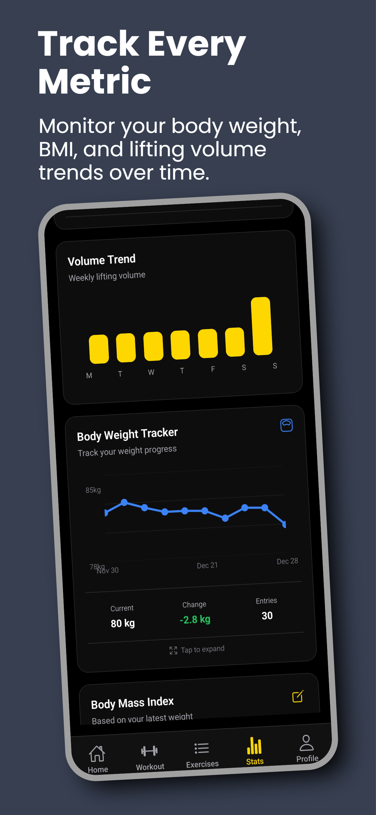IronPulse - Screenshot 2 showing product features and functionality