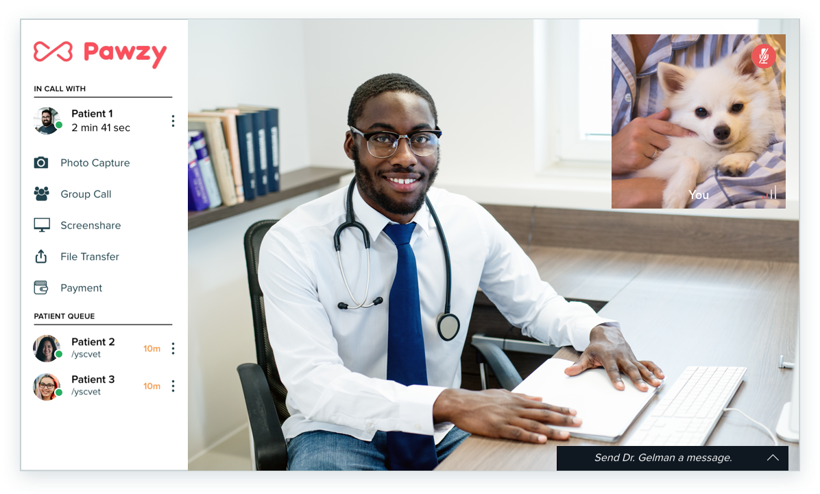 Dog Breed Selector Quiz