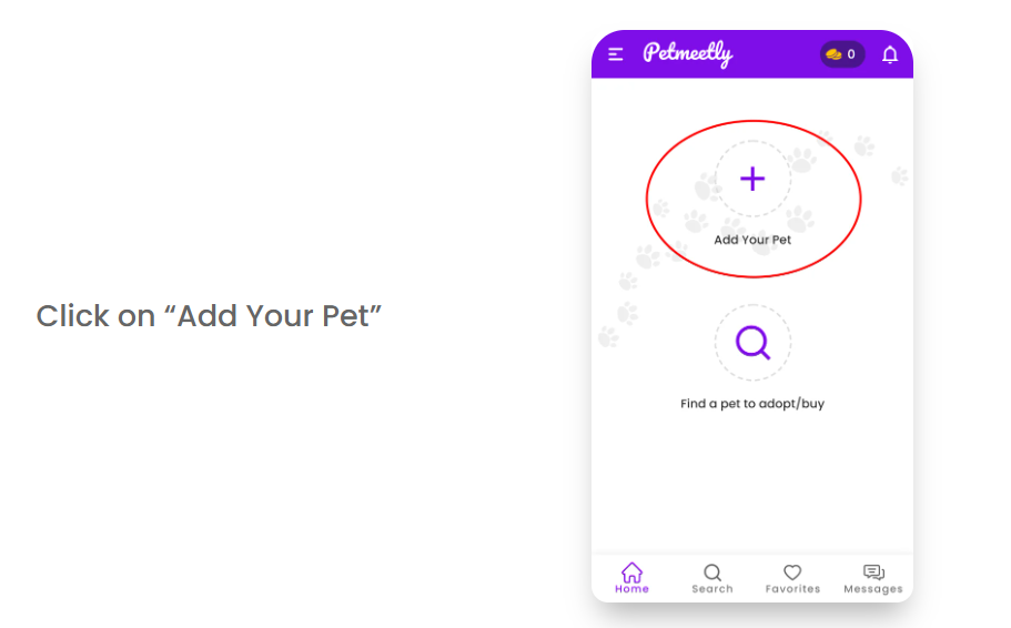 Petmeetly media 2