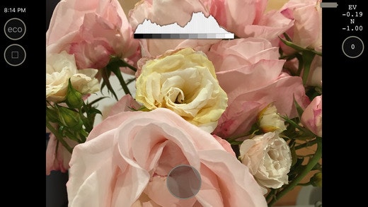 Proseezion gallery image