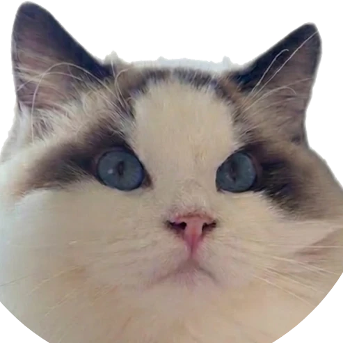 Hacker News AI Detector logo