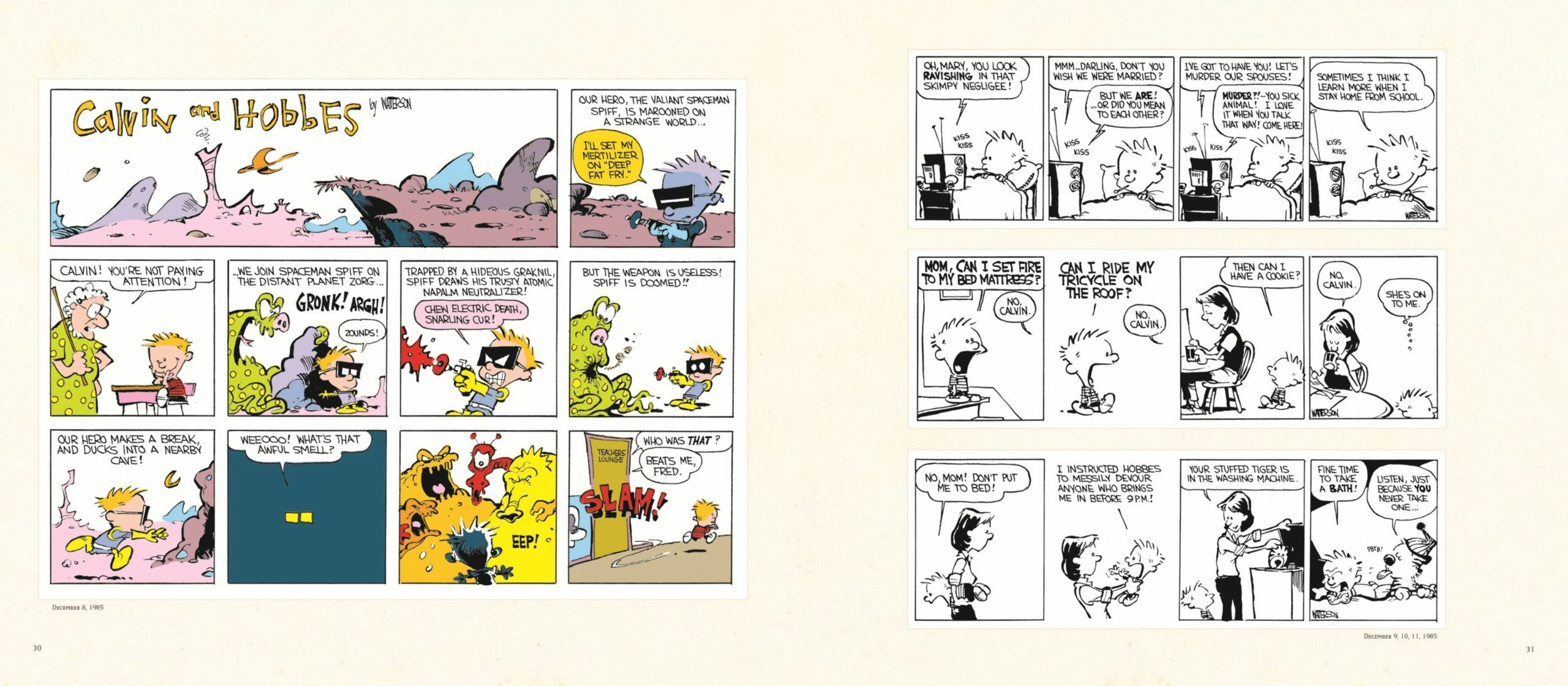 The Complete Calvin & Hobbes gallery image