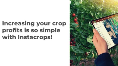 Instacrops gallery image