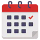 The Current Date