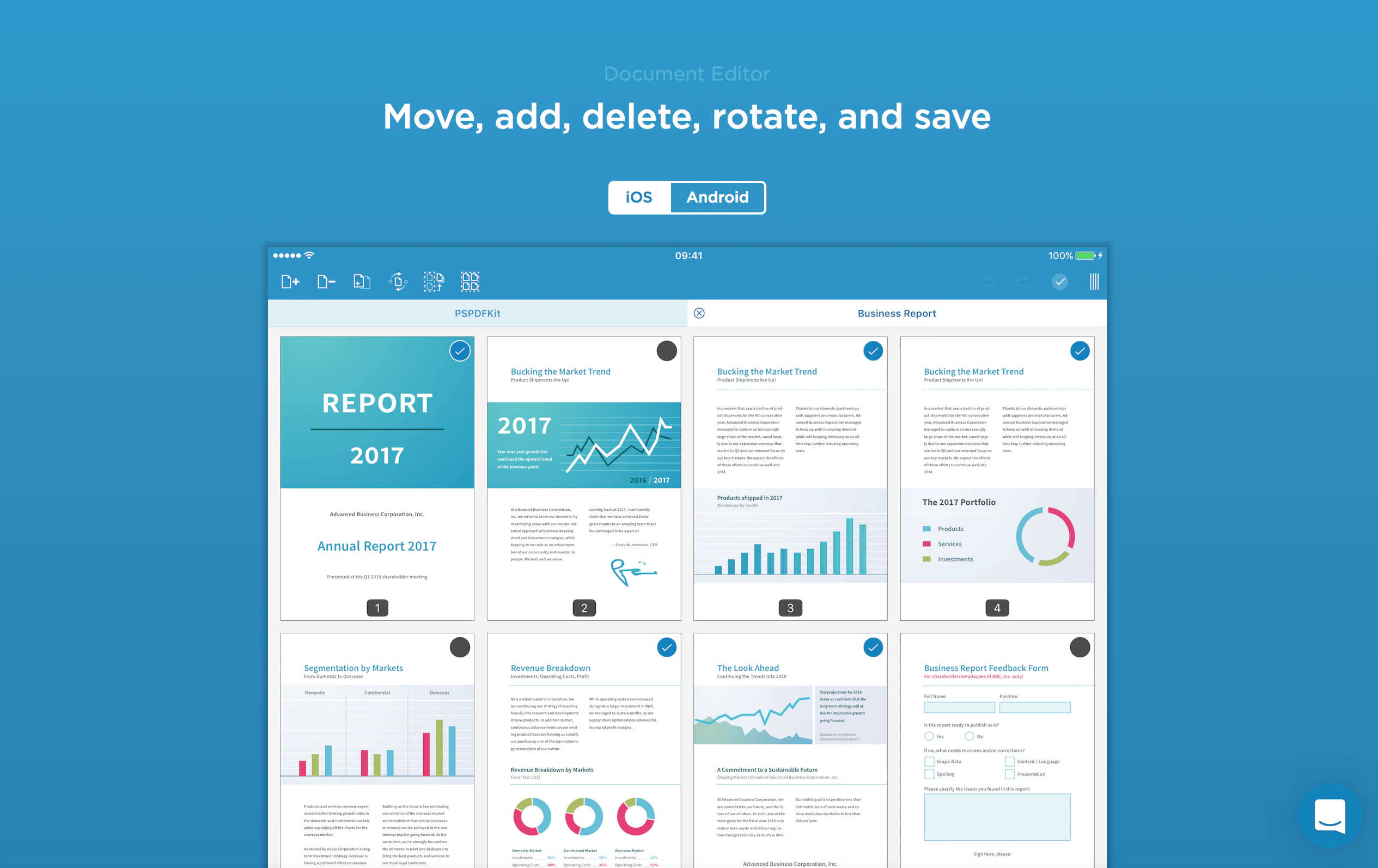 PDF Viewer Image