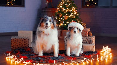 Cuddle Clones gallery image