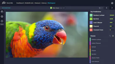 Brain Builder gallery image