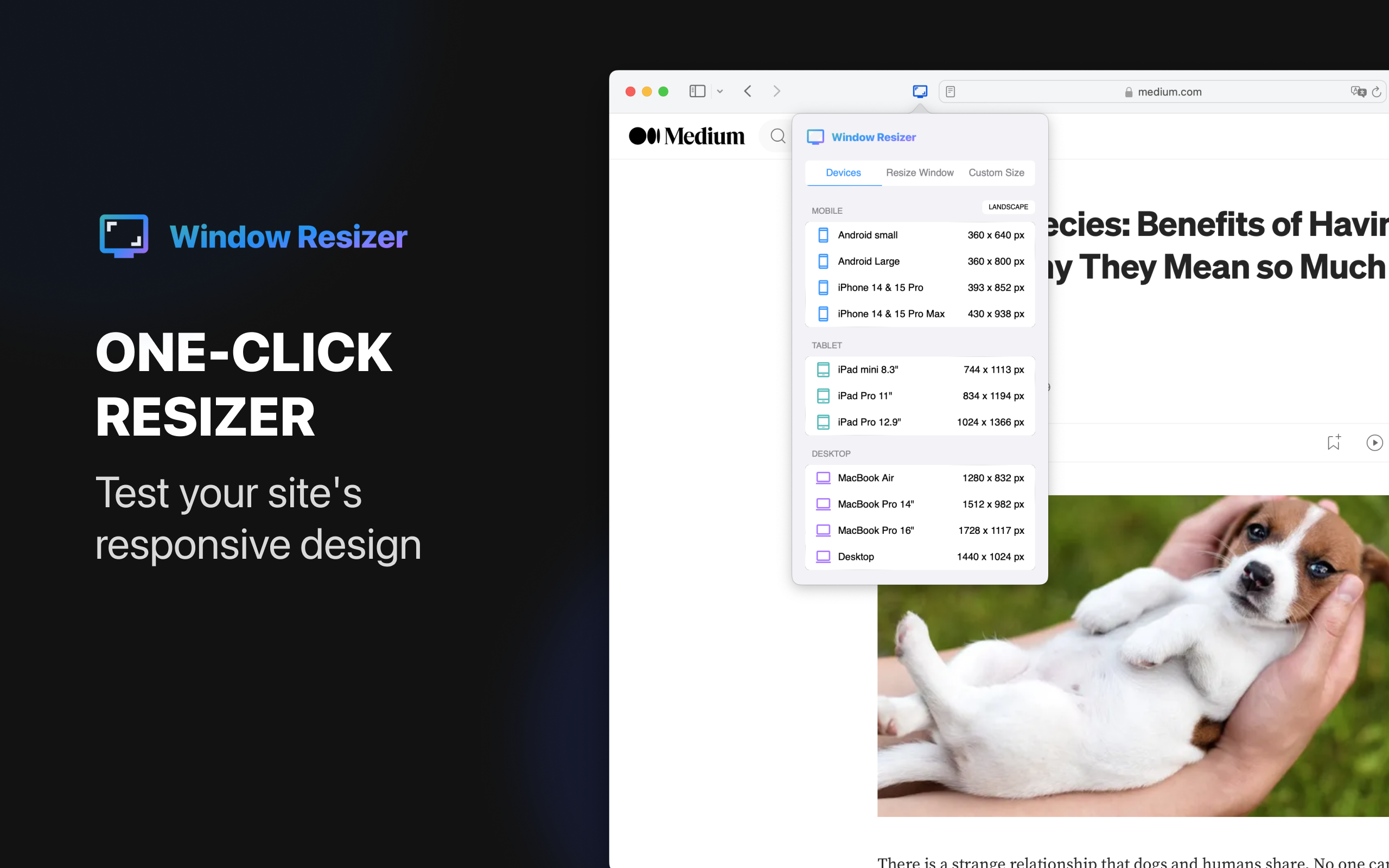 Window Resizer for Safari  media 2