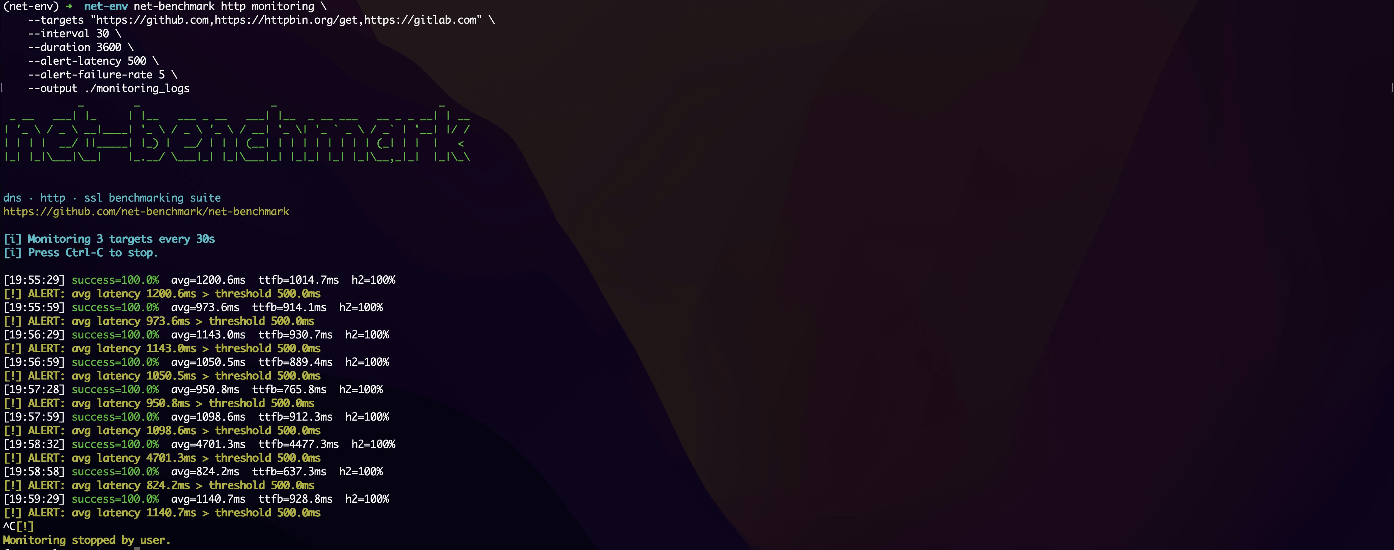 net-benchmark gallery image