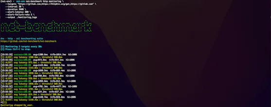 net-benchmark gallery image