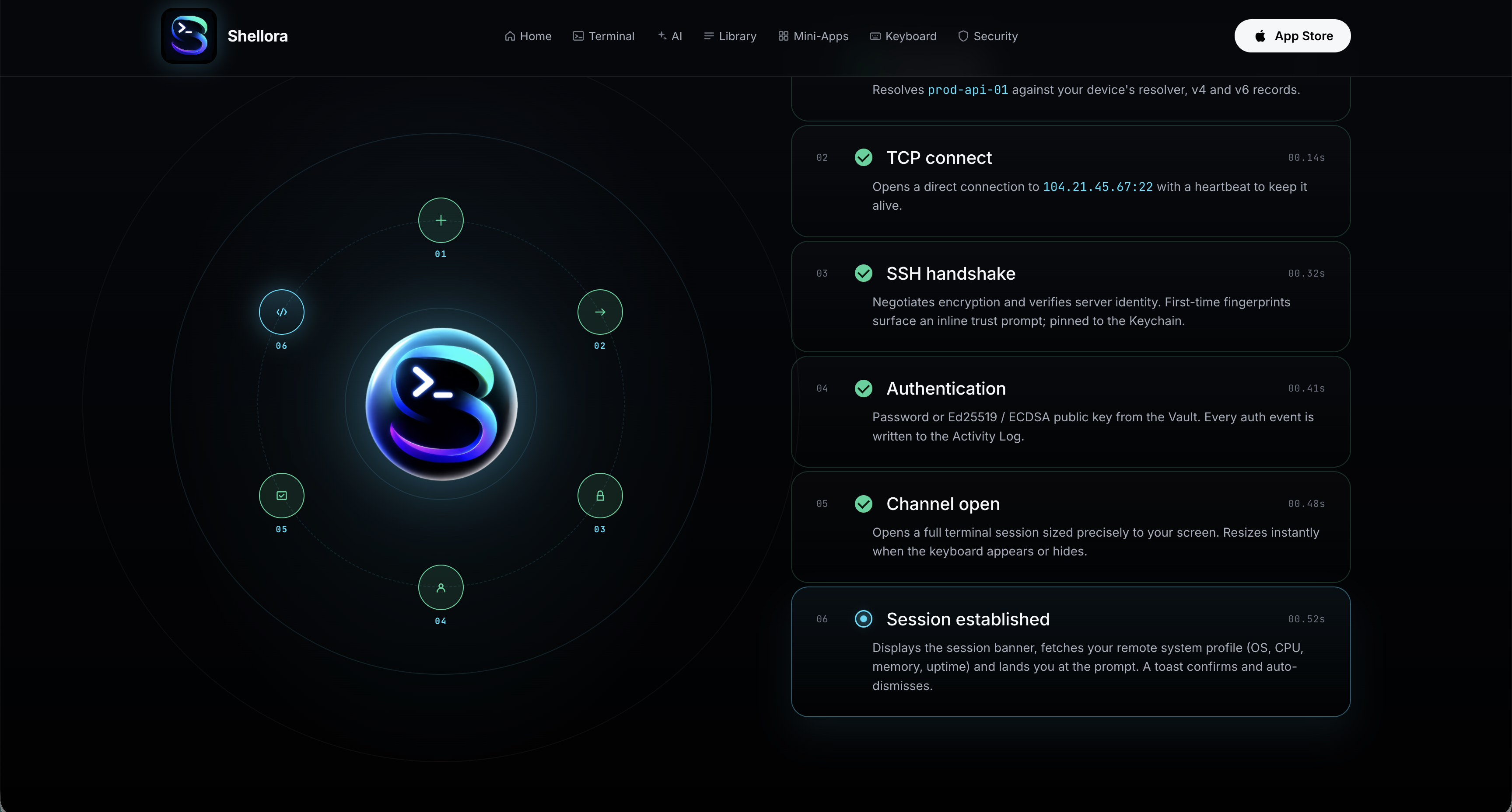 Shellora gallery image