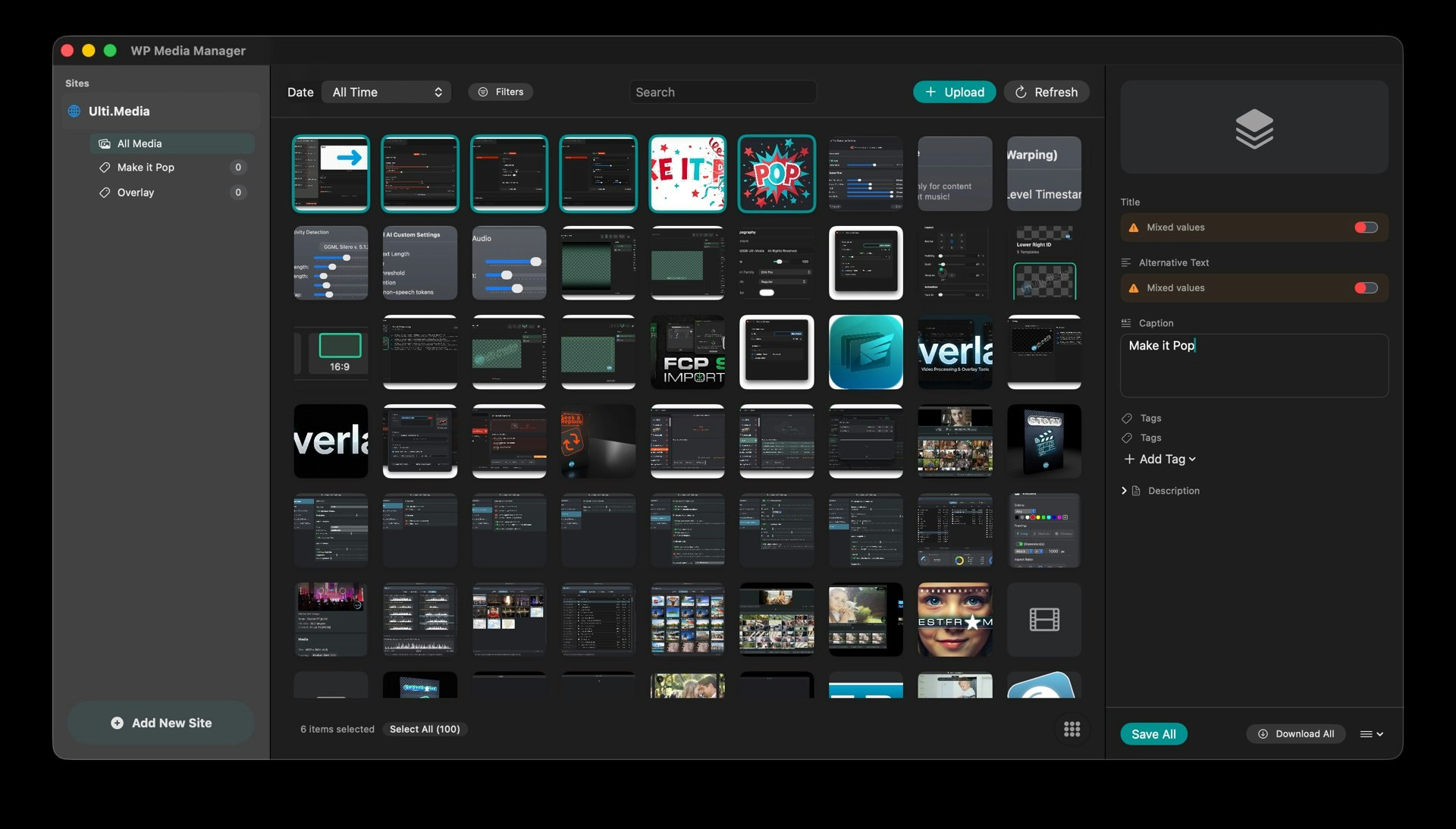 WP Media Manager gallery image