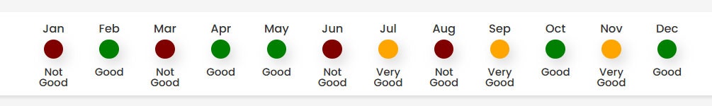 Viewzee 2026 - Screenshot 5 showing product features and functionality