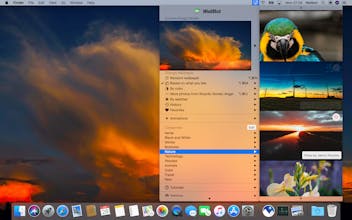 WallBot gallery image