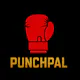 PunchPal AI Coach