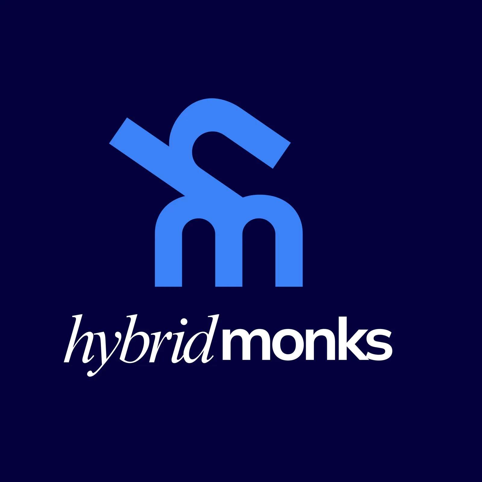 HybridMonks gallery image