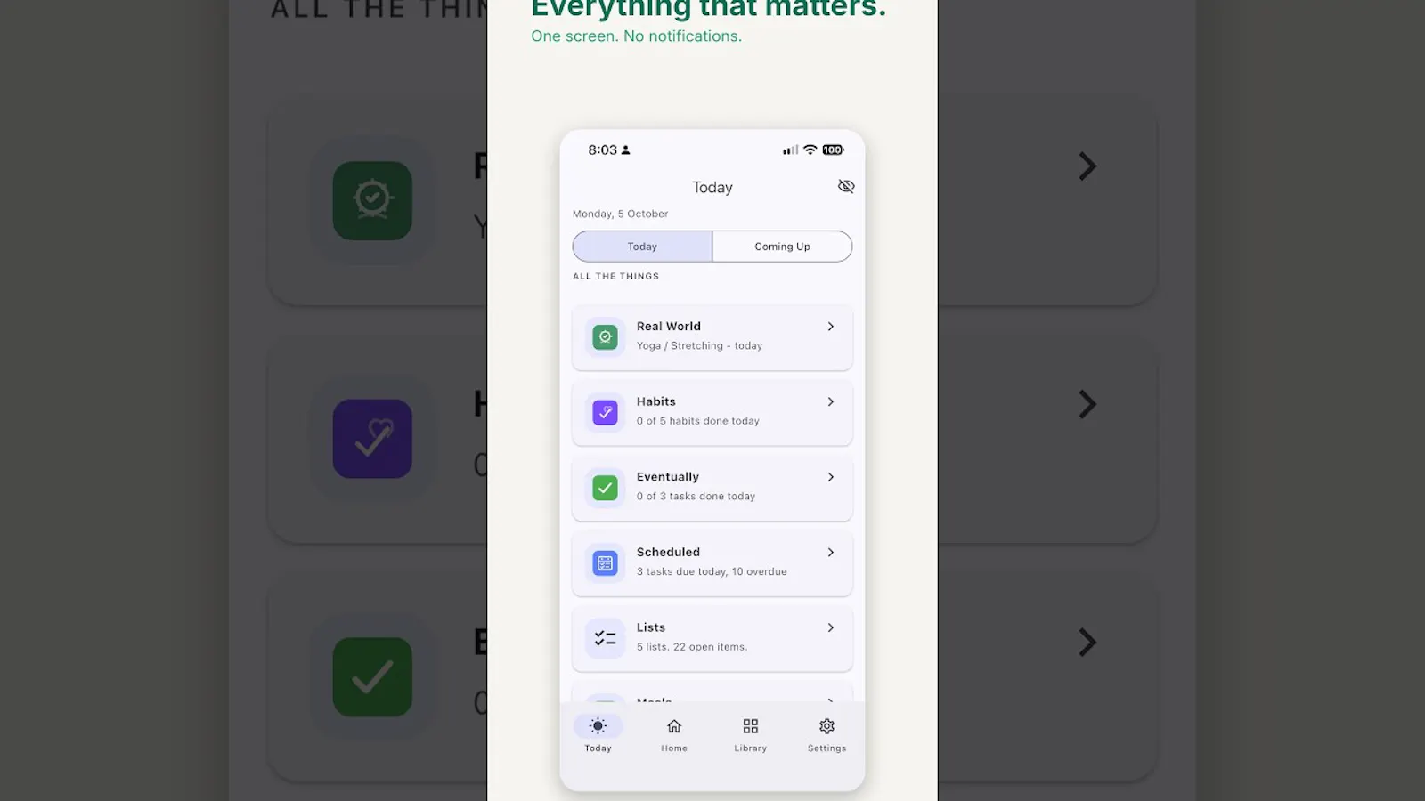 MostliHere screenshot 1 (video preview)