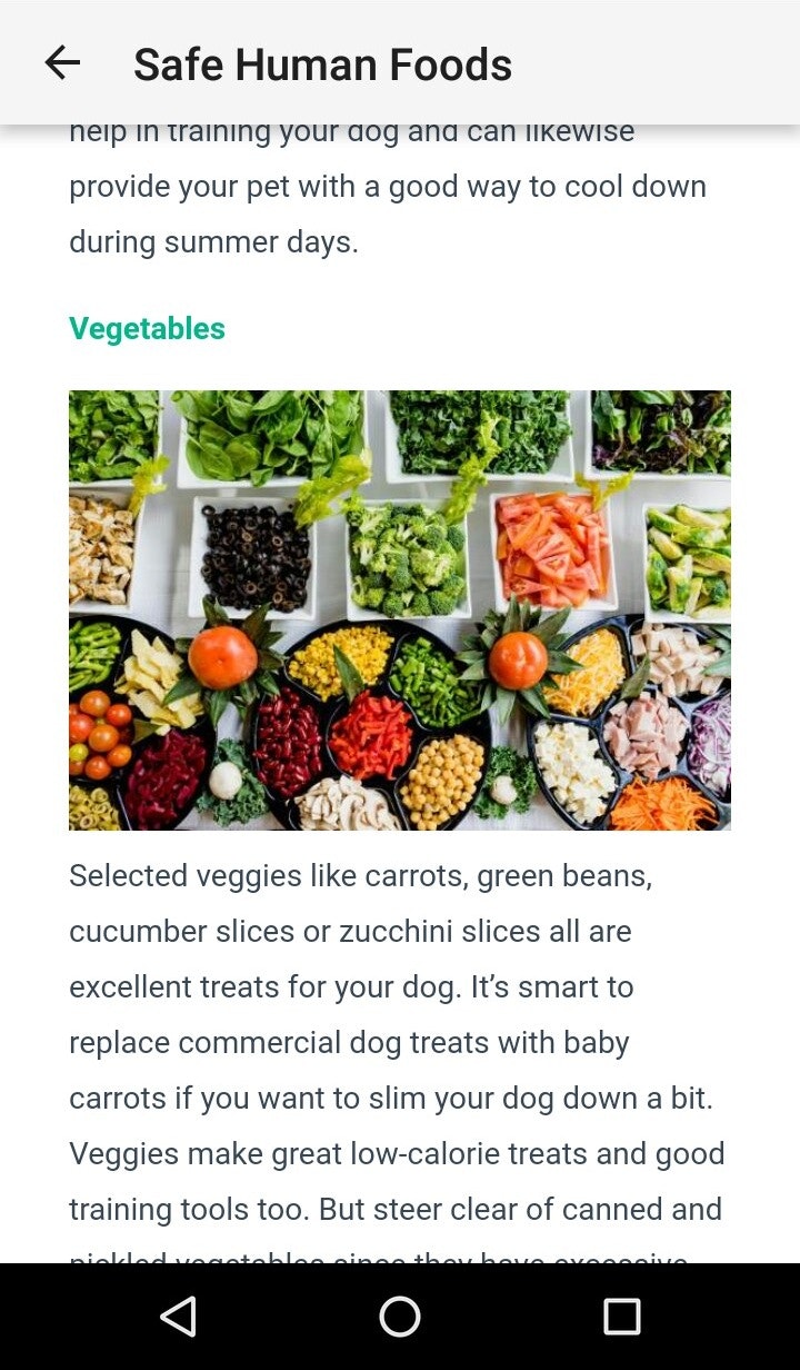 Dog Training : 101 gallery image