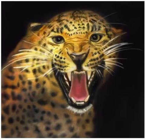 Mendon Cottage Books gallery image