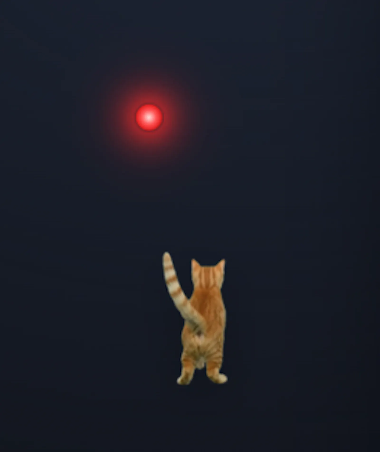CursorCat actually chases your cursor screenshot 5