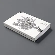 An Elegant Puzzle from Stripe Press