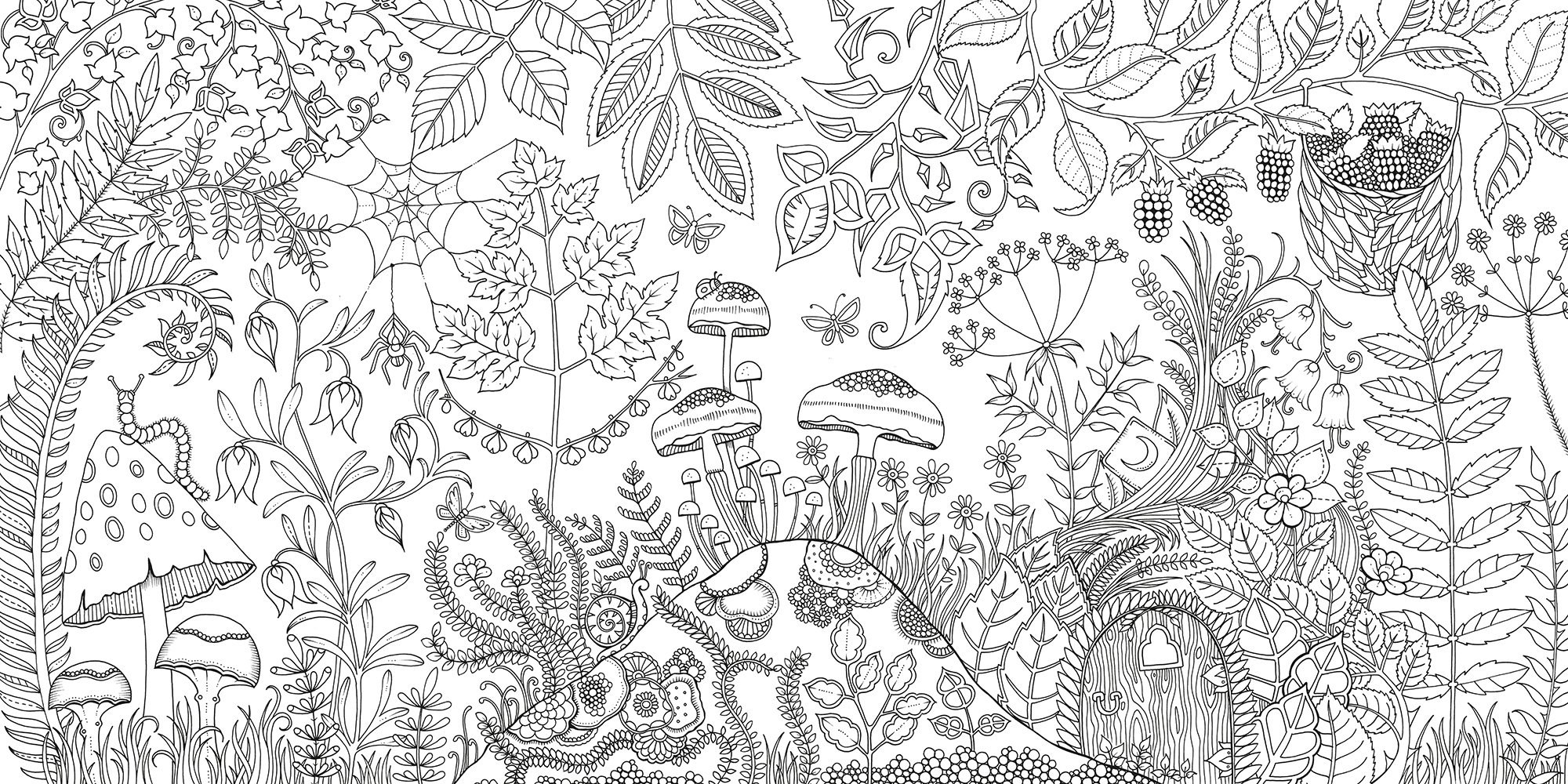 Enchanted Forest: An Inky Quest and Coloring Book gallery image