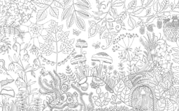 Enchanted Forest: An Inky Quest and Coloring Book media 3