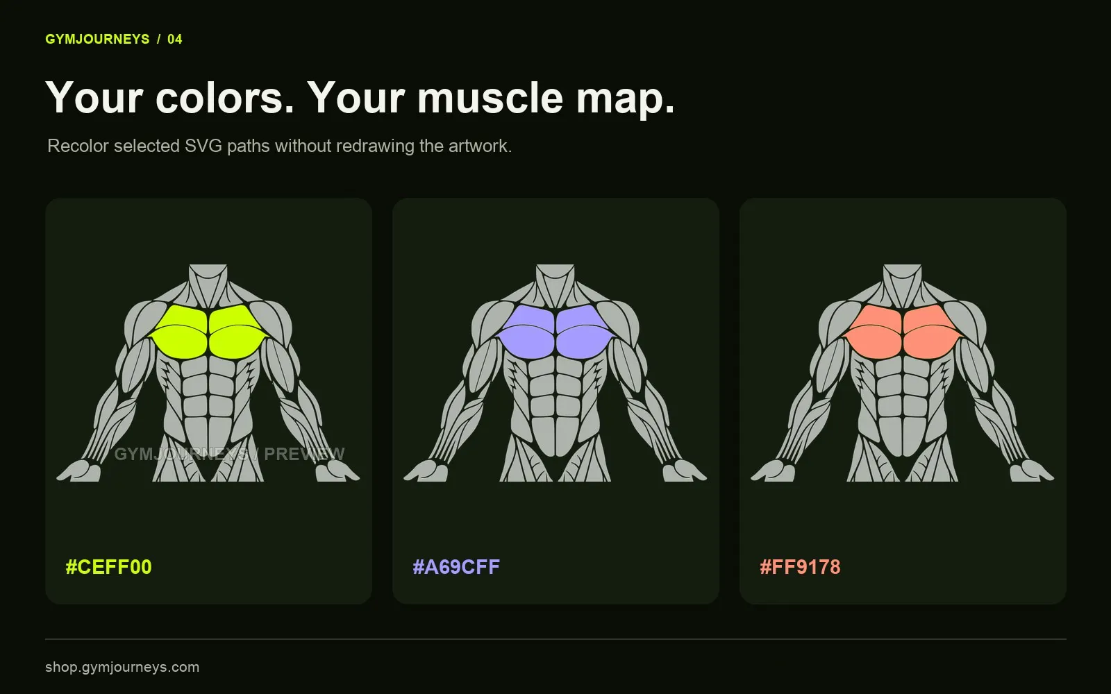 GymJourneys Muscle Collection gallery image