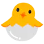 Hatch
