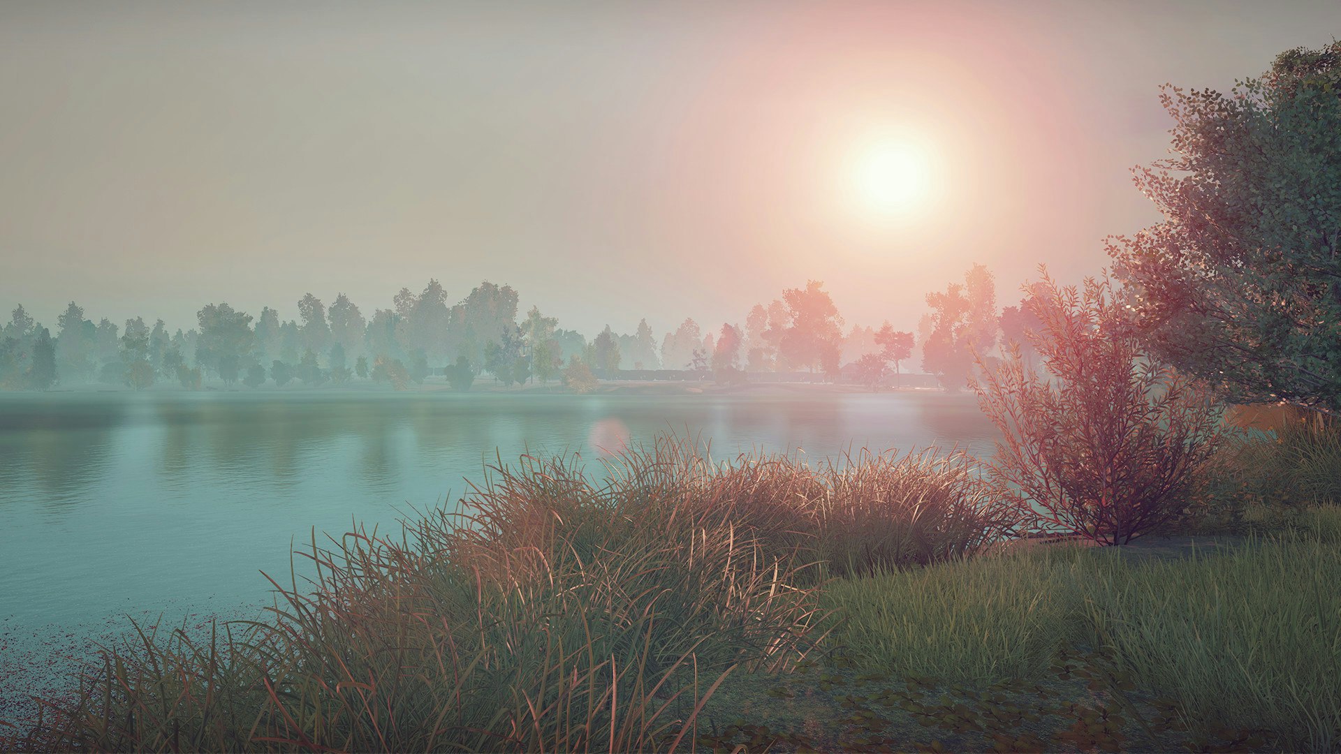 Euro Fishing gallery image