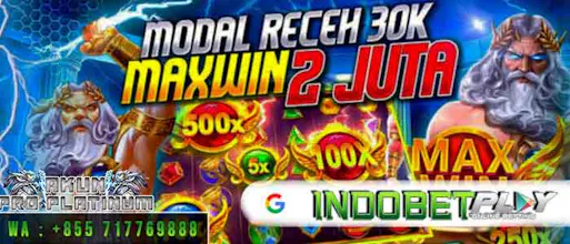 Pro Platinum 77 | Akun Pro Indobetplay gallery image